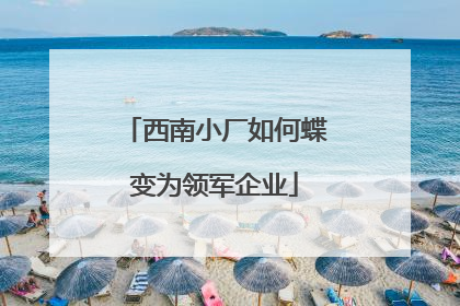 西南小厂如何蝶变为领军企业